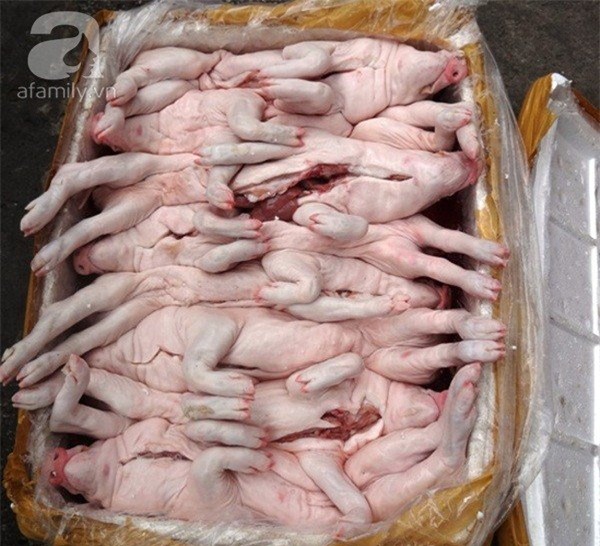 thịt heo, hóa chất, thịt lợn,