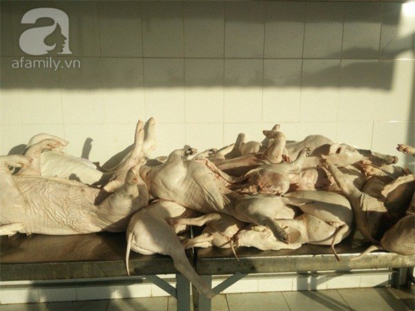 thịt heo, hóa chất, thịt lợn,