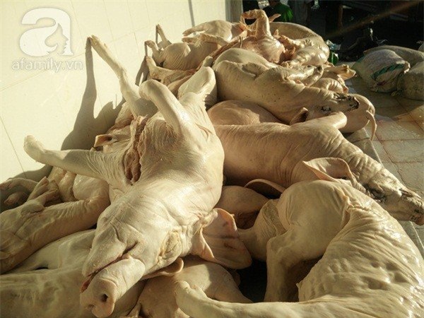 thịt heo, hóa chất, thịt lợn,