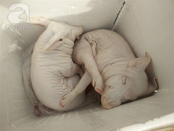 thịt heo, hóa chất, thịt lợn,