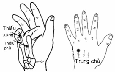 Nếu cảm thấy đau chứng tỏ tim đang phải làm việc quá sức.