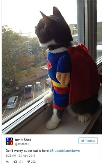 Khủng bố IS khóc như trẻ con sau khi bị bắt  - Ảnh 2