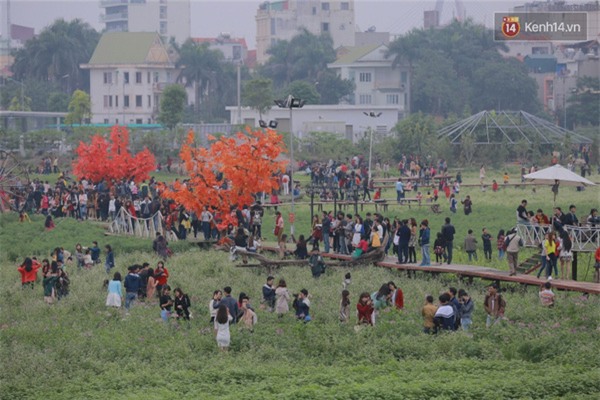 IMG_20151129_8741-e73d2