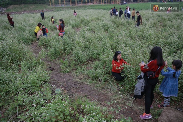 IMG_20151129_47597-e73d2