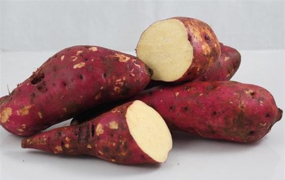 Lợi ích của khoai lang 1