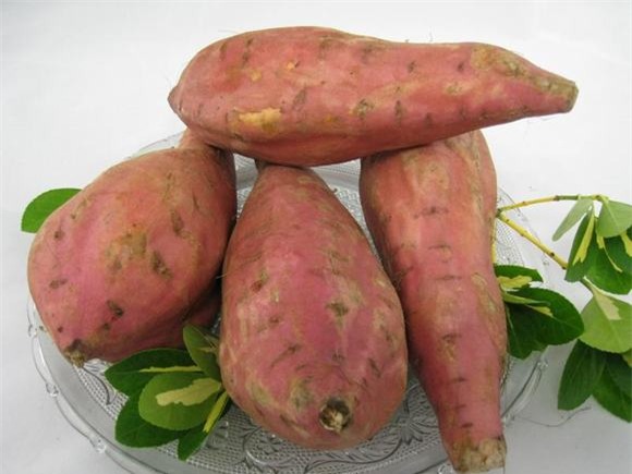 Lợi ích của khoai lang 0