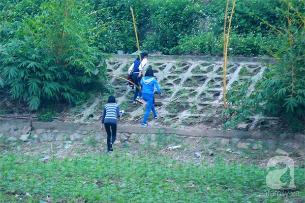 vuong-hoa-tam-giac-mach-bi-dam-nat