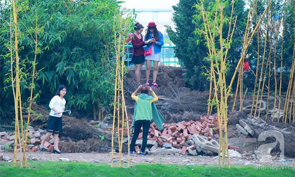 vuong-hoa-tam-giac-mach-bi-dam-nat