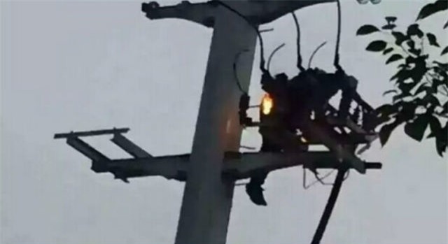 dai dot treo len cot dien sau khi cai nhau voi ban gai hinh anh 2