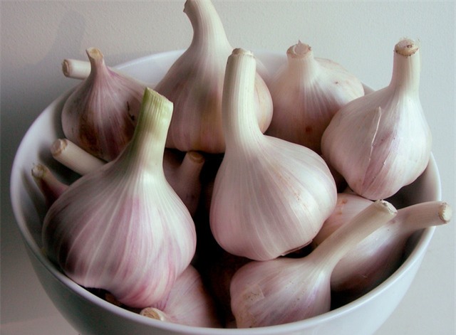 Tỏi rất tốt cho sức khỏe