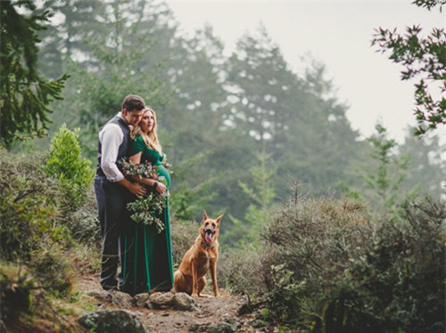 Bộ ảnh bầu chụp trong rừng đẹp như cổ tích - 11