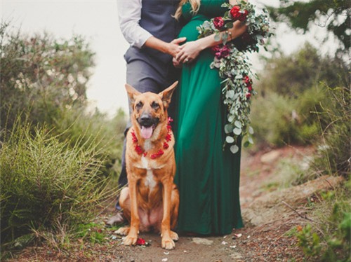 Bộ ảnh bầu chụp trong rừng đẹp như cổ tích - 3