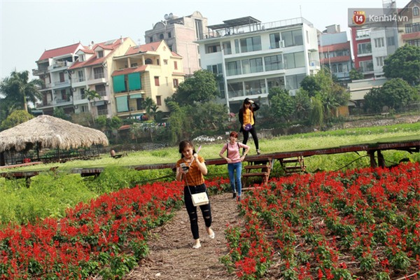 Chủ nhân thung lũng hoa Hồ Tây: