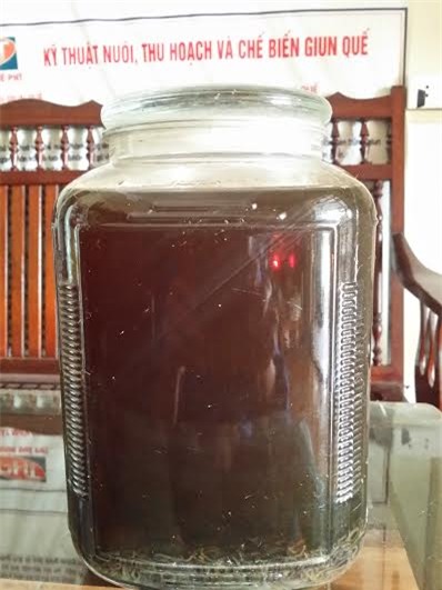 giun quế, ngâm rượu, thần dược, thực phẩm, đàn ông, chữa bệnh, ung thư, yếu-sinh-lý, rượu-giun-quế, giun-quế, ngâm-rượu, thần-dược, thực-phẩm, đàn-ông, chữa-bệnh, ung-thư, yếu-sinh-lý