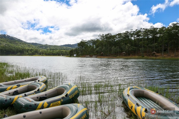 Mê mẩn với cánh rừng lá phong độc nhất vô nhị tại Đà Lạt - Ảnh 3.