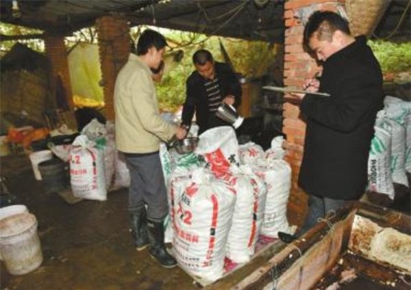 khoai môn, Trung Quốc, tẩy trắng, hóa chất, thực phẩm, ung thư, khoai-môn, Trung-Quốc, tẩy-trắng, hóa-chất, thực-phẩm, ung-thư,