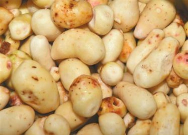 khoai môn, Trung Quốc, tẩy trắng, hóa chất, thực phẩm, ung thư, khoai-môn, Trung-Quốc, tẩy-trắng, hóa-chất, thực-phẩm, ung-thư,