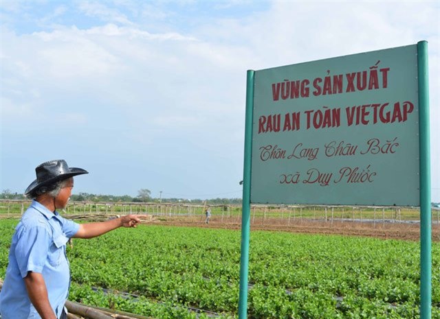 500 dong/bo re nhu cho, rau sach vietgap bi... cat bo de bo an hinh anh 8