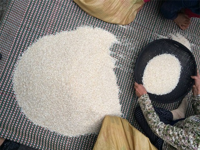 thực phẩm bẩn, nhà giàu, gạo vùng cao