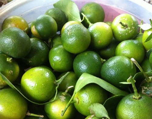 Cách pha trà quất đơn giản