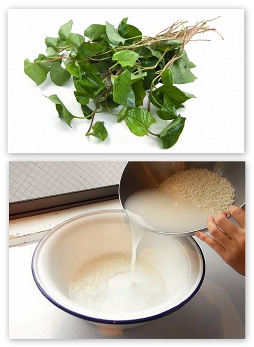 cach tri ho hieu qua 1