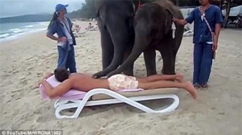 Dich vu mat xa bang voi