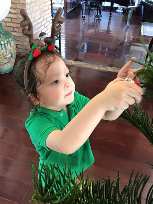 2 con của Hồng Nhung ngày càng đáng yêu - 8