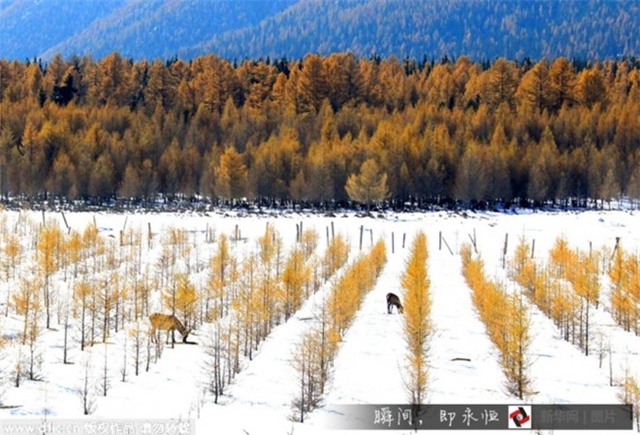 Những điểm ngắm tuyết rơi tuyệt đẹp ở Trung Quốc