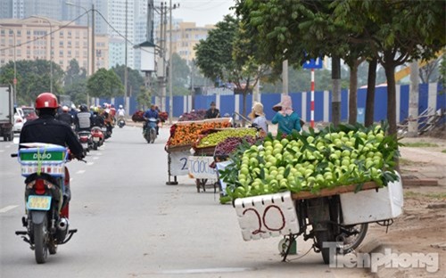Phố hoa quả giá rẻ bán rong ở Hà Nội - ảnh 1