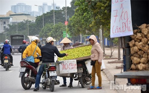 Phố hoa quả giá rẻ bán rong ở Hà Nội - ảnh 2