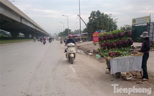Phố hoa quả giá rẻ bán rong ở Hà Nội - ảnh 3