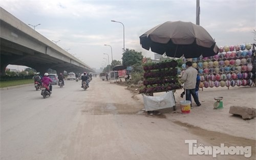 Phố hoa quả giá rẻ bán rong ở Hà Nội - ảnh 4