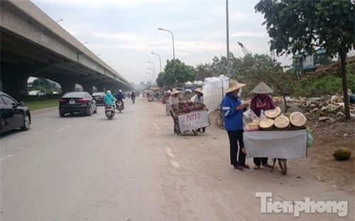 Phố hoa quả giá rẻ bán rong ở Hà Nội - ảnh 5