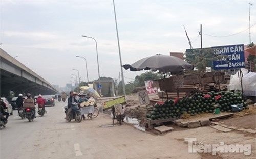 Phố hoa quả giá rẻ bán rong ở Hà Nội - ảnh 6