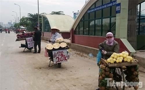 Phố hoa quả giá rẻ bán rong ở Hà Nội - ảnh 7