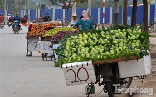 Phố hoa quả giá rẻ bán rong ở Hà Nội - ảnh 9