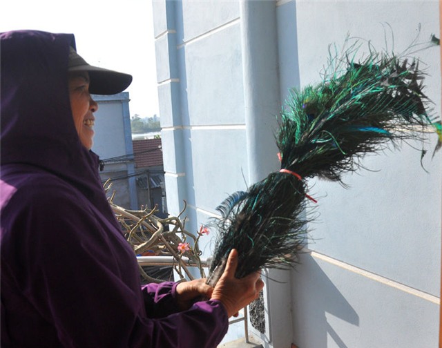 ruc rich san chim quy