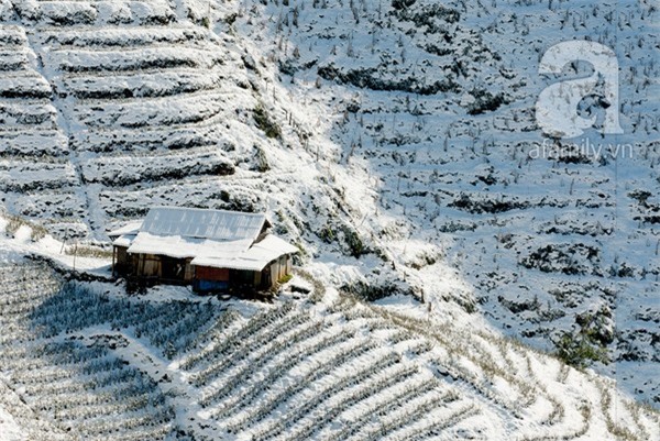 Những hình ảnh tuyết trắng đẹp lạ thường ở Sapa 3