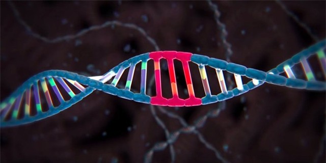 Công nghệ điều chỉnh gene CRISPR có thể cho phép con người thực hiện nhiều tiến bộ khoa học nhằm phòng chống bệnh tật, chỉnh sửa gene của thực vật, động vật. Hệ thống CRISPR-Cas9 được coi là phát hiện công nghệ sinh học lớn nhất thế kỷ của các nhà khoa học Viện Công nghệ Massachusetts, có chức năng sửa đổi gene an toàn và chính xác, mở ra hy vọng giúp con người chữa khỏi các bệnh di truyền hay bẩm sinh.