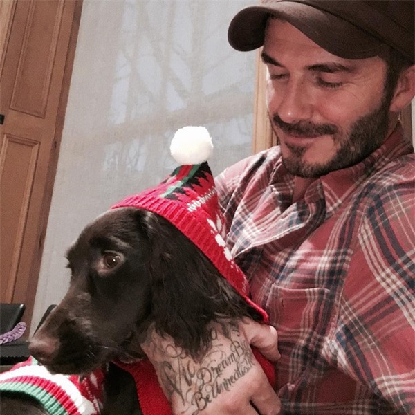Beckham và "gái cưng" Harper Seven cùng nhau đón hoàng hôn London - Ảnh 3.