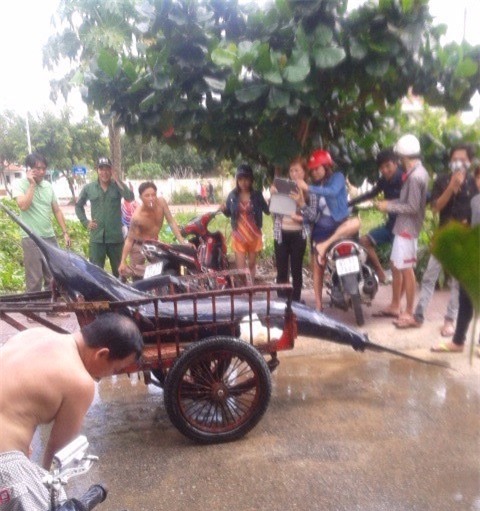 Ngư dân, Côn Đảo, cá thu, cá khủng, thủy quái, đổi đời, nông dân, Ngư-dân, Côn-Đảo, cá-thu, cá-khủng, thủy-quái, đổi-đời, nông-dân,