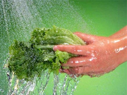 Tránh nhiễm khuẩn từ nhà bếp 1