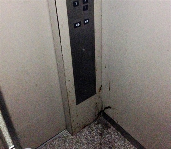 Chung cư, bi hài chung cư, sự cố chung cư, toà nhà chung cư, trồng rau chung cư, tai nạn chung cư, an toàn chung cư, Chung-cư, bi-hài-chung-cư, sự-cố-chung-cư, toà-nhà -chung-cư