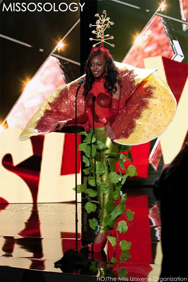 Phạm Hương làm nức lòng fan khi diễn trang phục dân tộc - 14