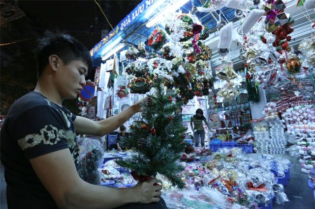 cay thong mini dat khach mua noel hinh anh 1