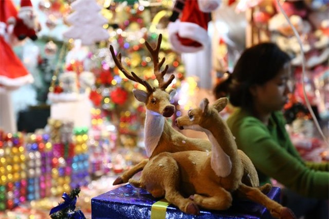 cay thong mini dat khach mua noel hinh anh 5