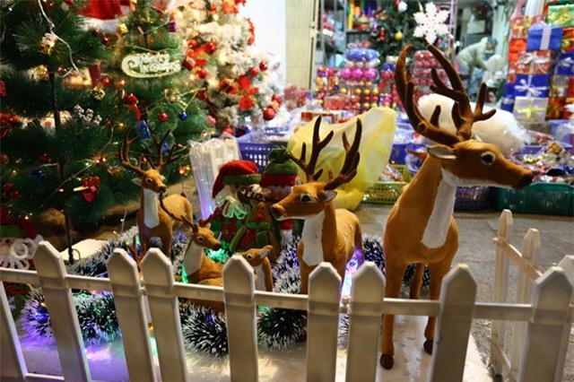 cay thong mini dat khach mua noel hinh anh 8