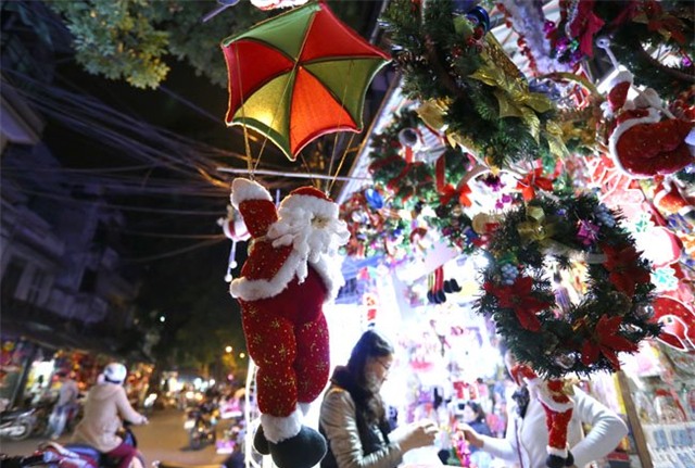 cay thong mini dat khach mua noel hinh anh 9