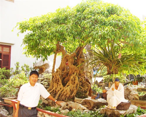 Cây cảnh, tiền tỷ, vường kiểng, nghệ nhân, đại gia, Phiến cá, vườn cảnh, cây mai, cây sanh, siêu cây, cây khế, cây tùng, cây-cảnh, tiền-tỷ, vường-kiểng, nghệ-nhân, đại-gia, Phiến-cá, vườn-cảnh, cây-mai, cây-sanh, siêu-cây, cây-khế, cây-tùng