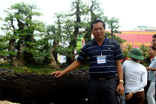 Cây cảnh, tiền tỷ, vường kiểng, nghệ nhân, đại gia, Phiến cá, vườn cảnh, cây mai, cây sanh, siêu cây, cây khế, cây tùng, cây-cảnh, tiền-tỷ, vường-kiểng, nghệ-nhân, đại-gia, Phiến-cá, vườn-cảnh, cây-mai, cây-sanh, siêu-cây, cây-khế, cây-tùng